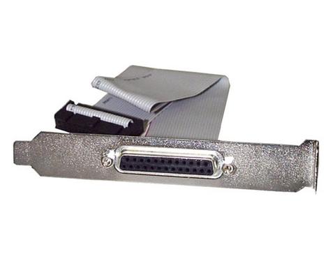 StarTech 16in DB25 Parallel Female to IDC 25 Pin Header Slot Plate