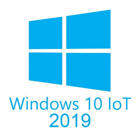 Microsoft Windows 10 IoT Enterprise 2019 LTSC MultiLang ESD OEI Entry EPKEA