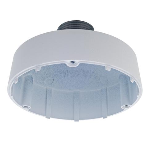 D-Link DCS-F460PC Vigilance Network Camera Pendant Cap Type D1