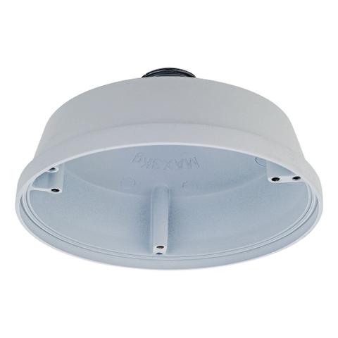 D-Link DCS-F481PC Vigilance Network Camera Pendant Cap Type T2