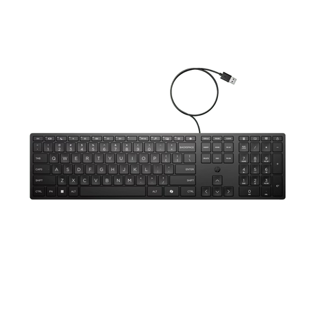 HP Wired Desktop 320K Keyboard