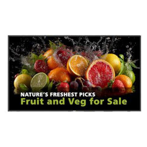 Philips 5000 D-Line 65" 4K UHD 24/7 600Nit Digital Signage Display - Android