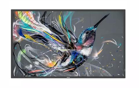 Philips Q-Line 55" 4K 18/7 400Nit Android Digital Signage Display