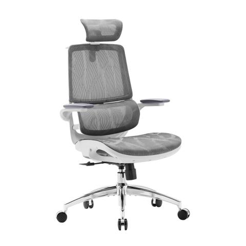 Sihoo M59AS Ergonomic Office Chair - Grey
