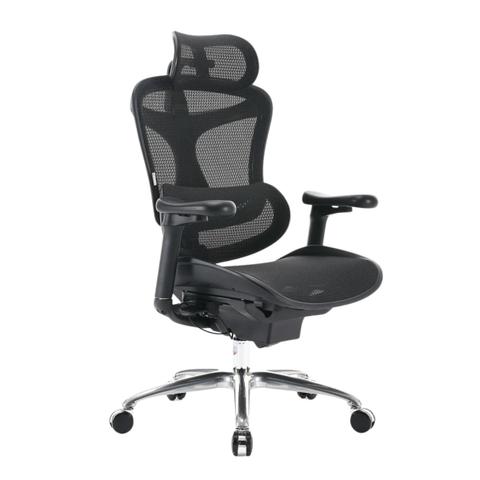 Sihoo A3 Doro C100 Ergonomic Office Chair - Black
