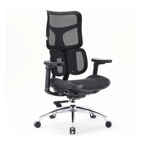 Sihoo Doro S100 Ergonomic Office Chair - Black