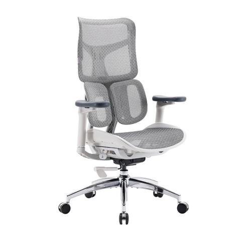 Sihoo Doro S100 Ergonomic Office Chair - Grey