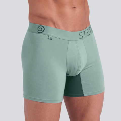 Boxer Brief - Elements Wind